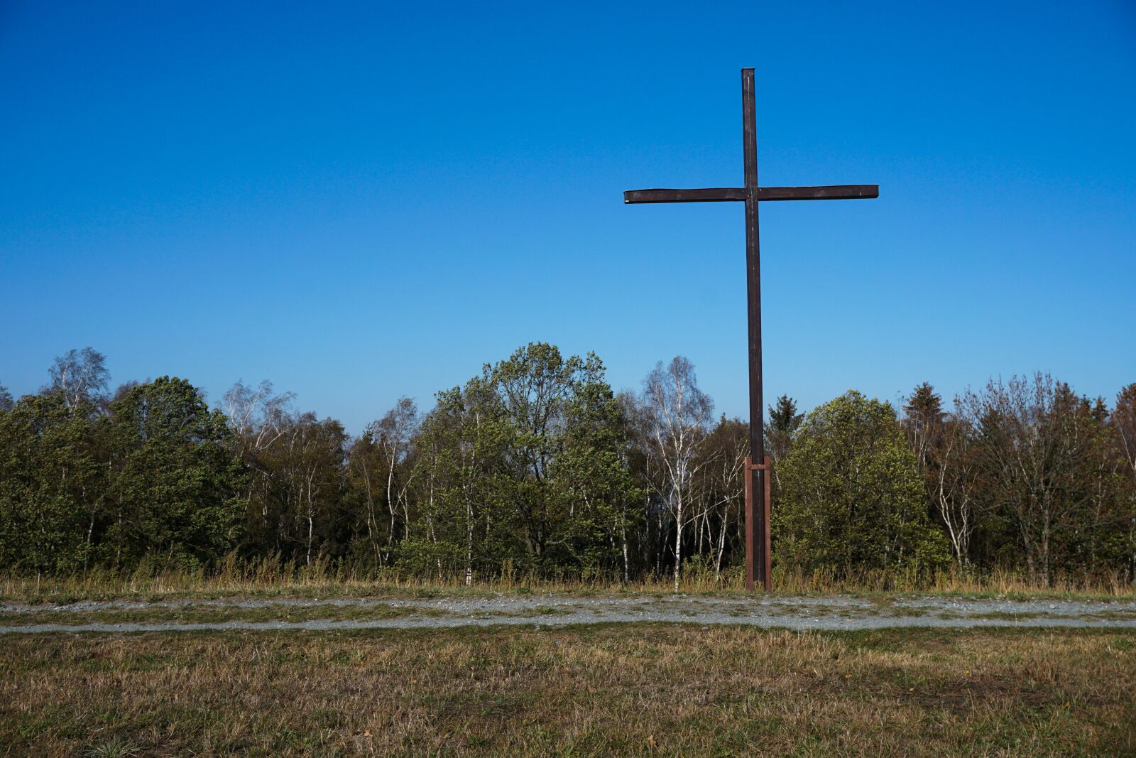 Sony a6000 sample photo. Cross, forest, trees photography