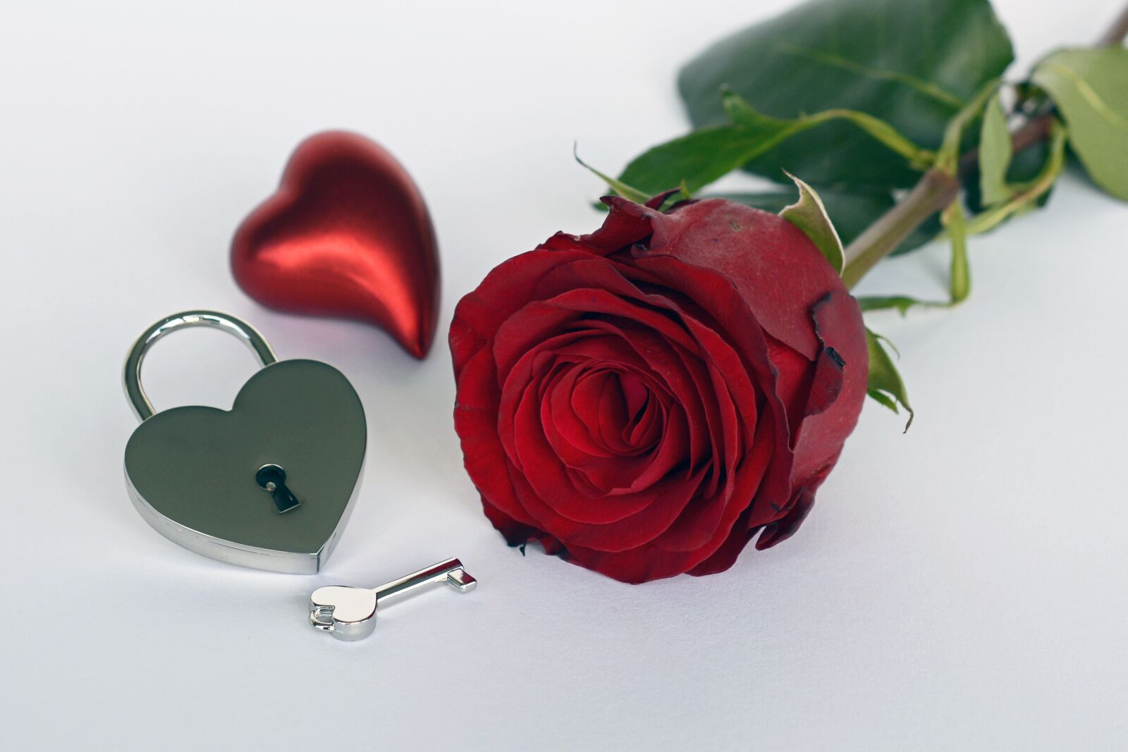 Nikon D7100 sample photo. Rose, heart, castle photography