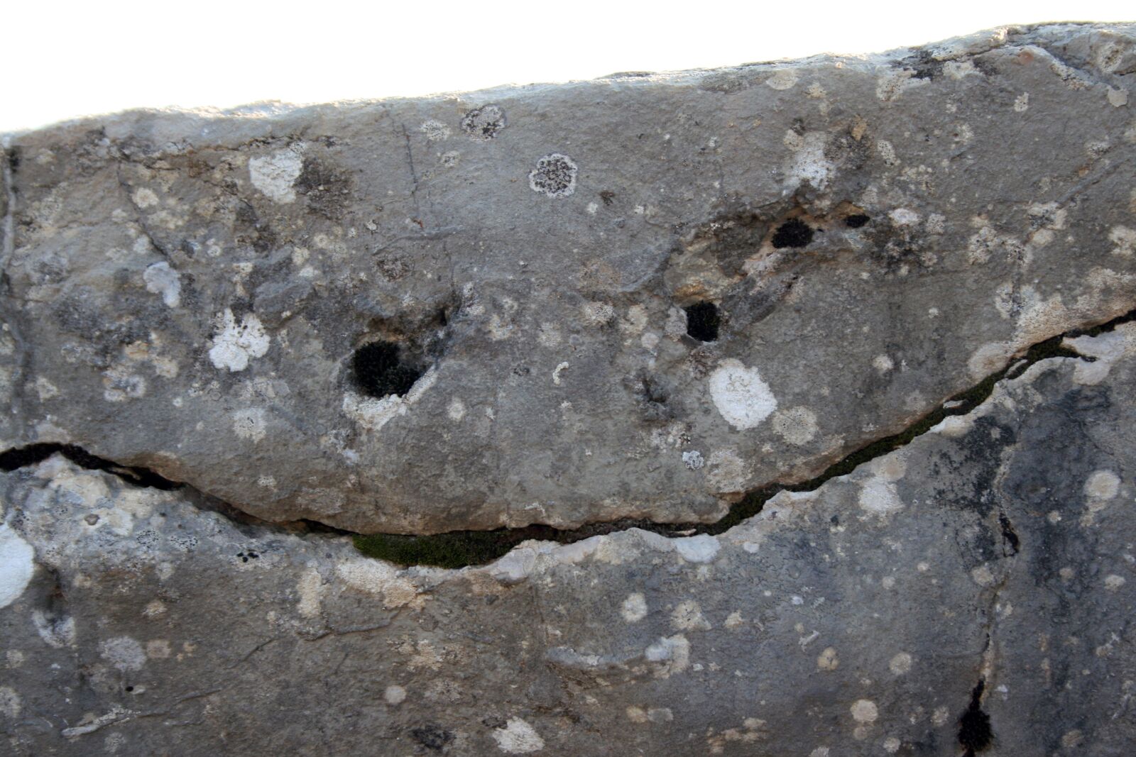 Canon EOS 400D (EOS Digital Rebel XTi / EOS Kiss Digital X) sample photo. Smiley, stone, laugh photography