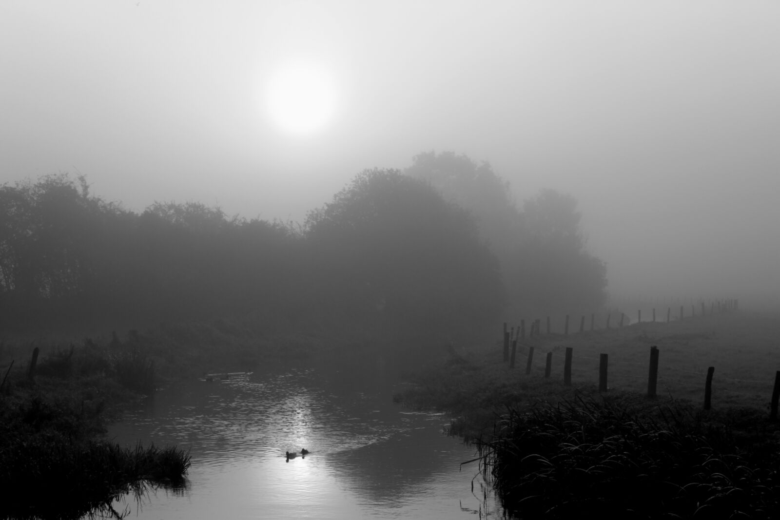 Canon EOS 1300D (EOS Rebel T6 / EOS Kiss X80) sample photo. Fog, haze, sunrise photography