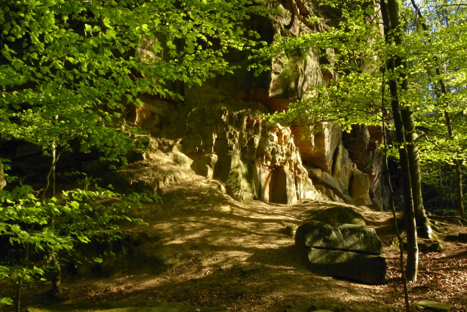 Panasonic Lumix DMC-FZ150 sample photo. County, bentheim, hiking photography
