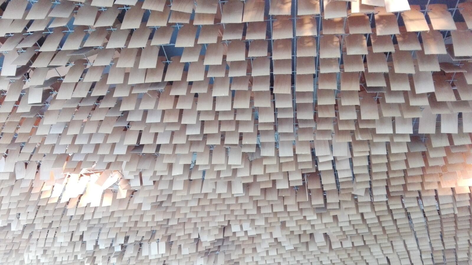 HUAWEI P8 Lite sample photo. Wood, of course, structure photography
