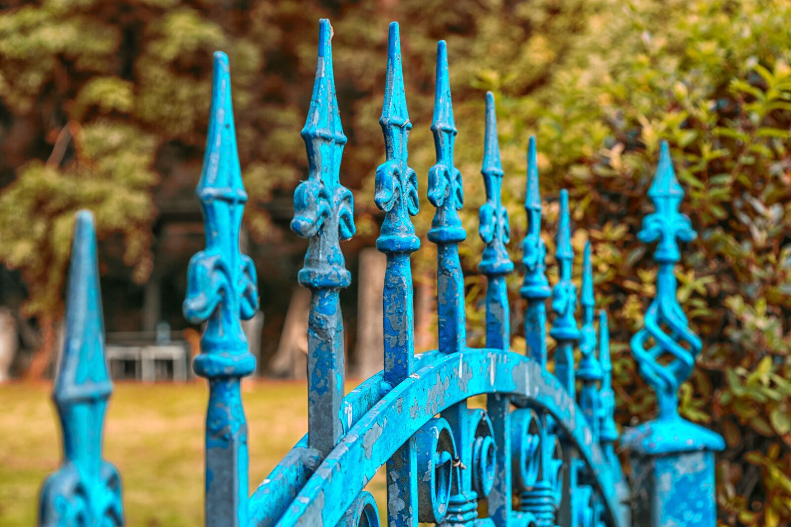 Nikon D3300 sample photo. Fence, goal, input photography