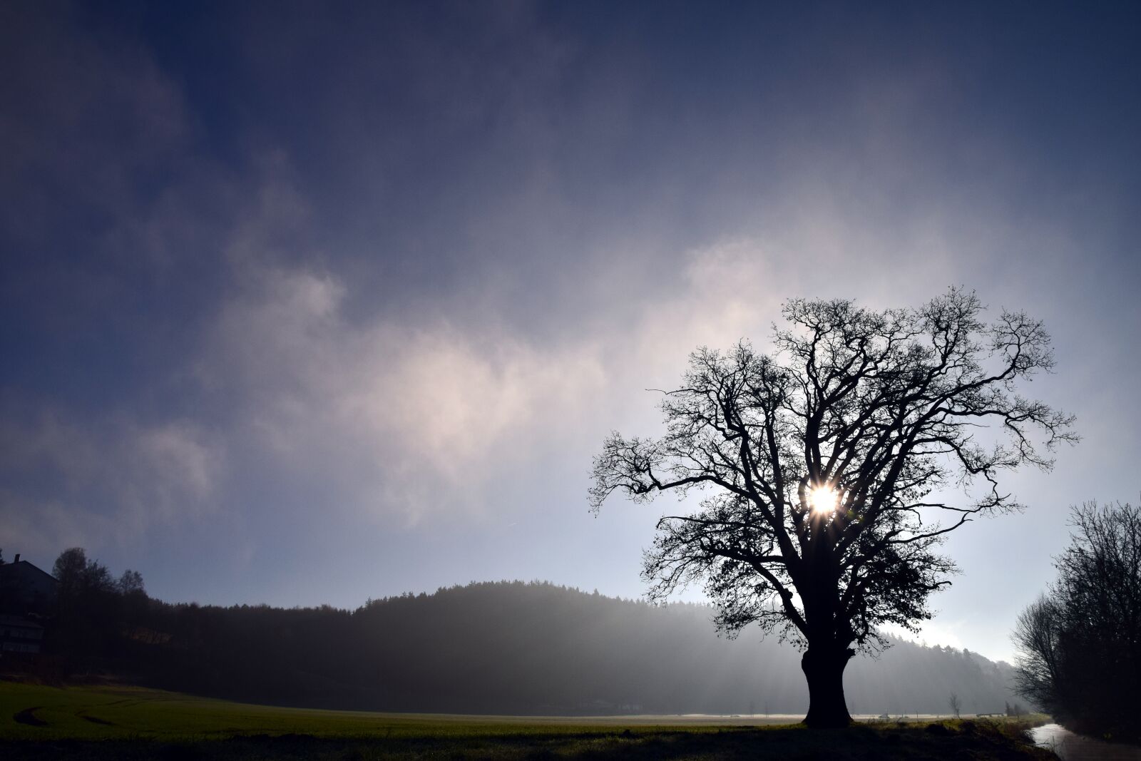 Nikon D3300 sample photo. Tree, landscape, nature photography