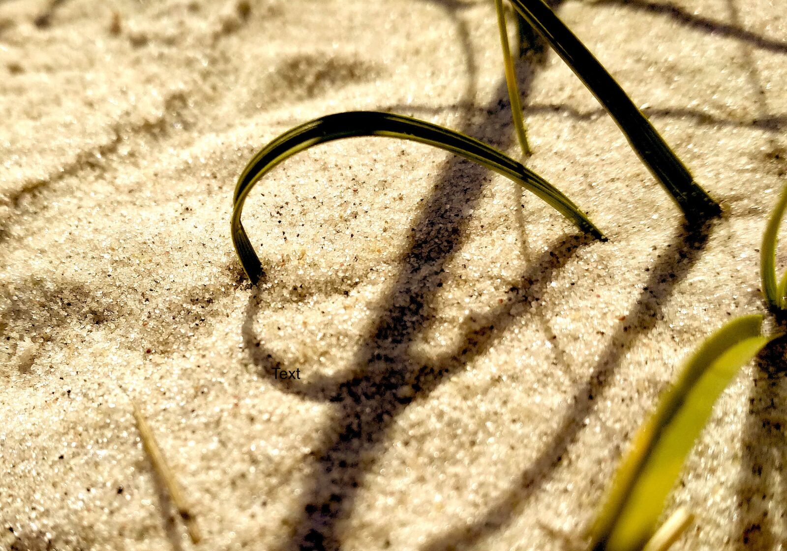 Xiaomi Redmi 4X sample photo. Heart, sand, grass photography