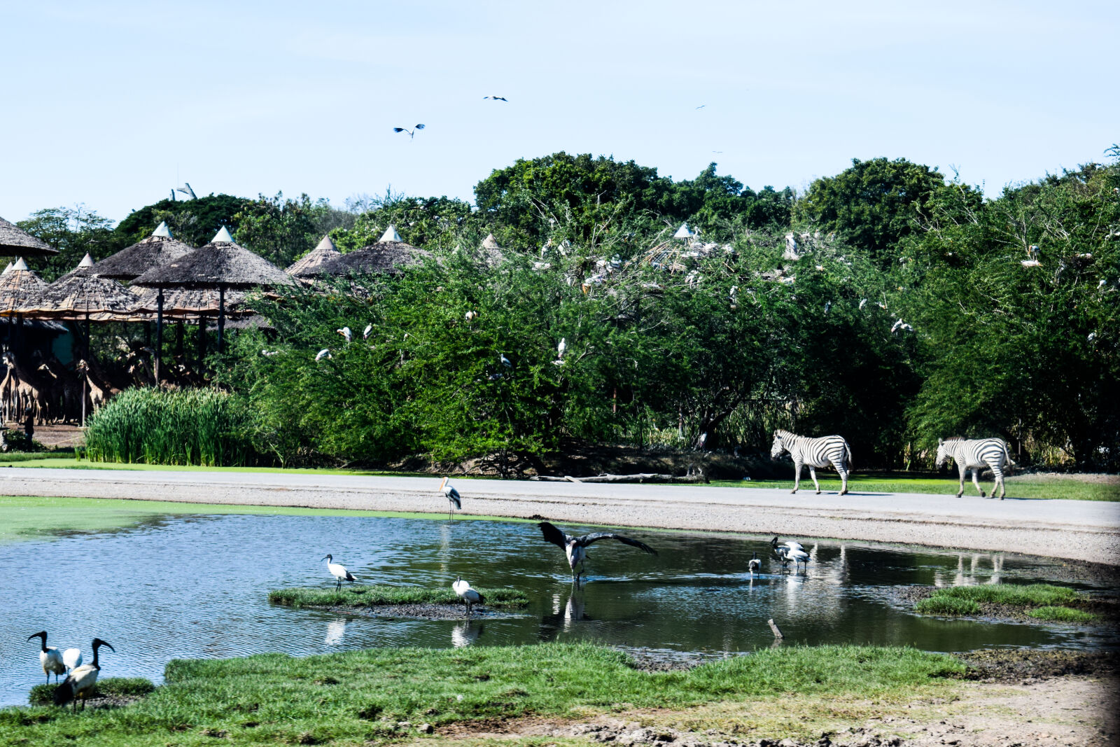 Nikon D3300 sample photo