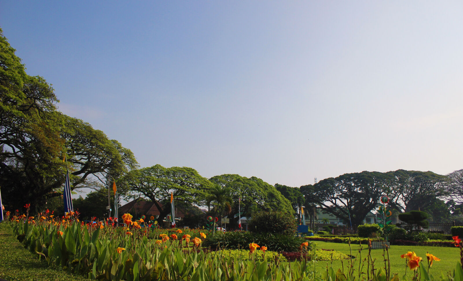 Canon EOS 600D (Rebel EOS T3i / EOS Kiss X5) sample photo. Bloom photography