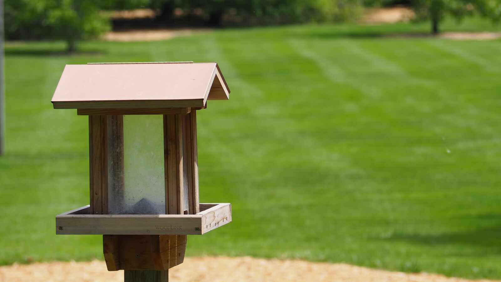 Olympus OM-D E-M10 II sample photo. Bird house, bird, house photography