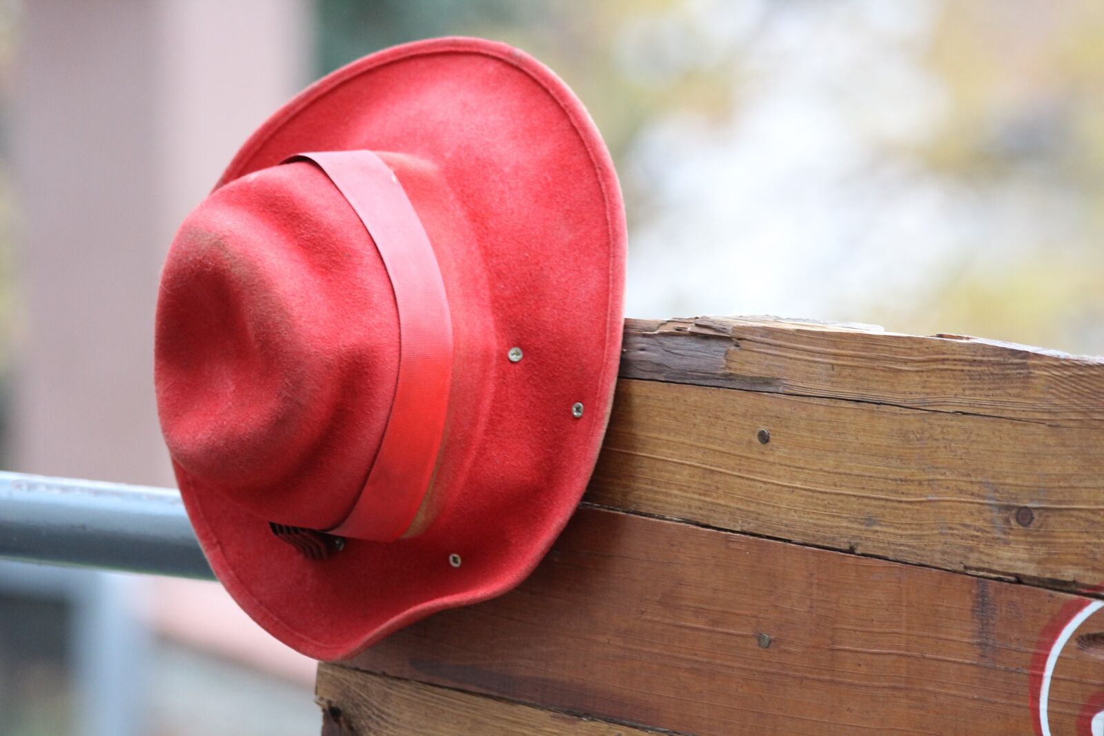 Canon EOS 600D (Rebel EOS T3i / EOS Kiss X5) sample photo. Red hat, bench, wooden photography