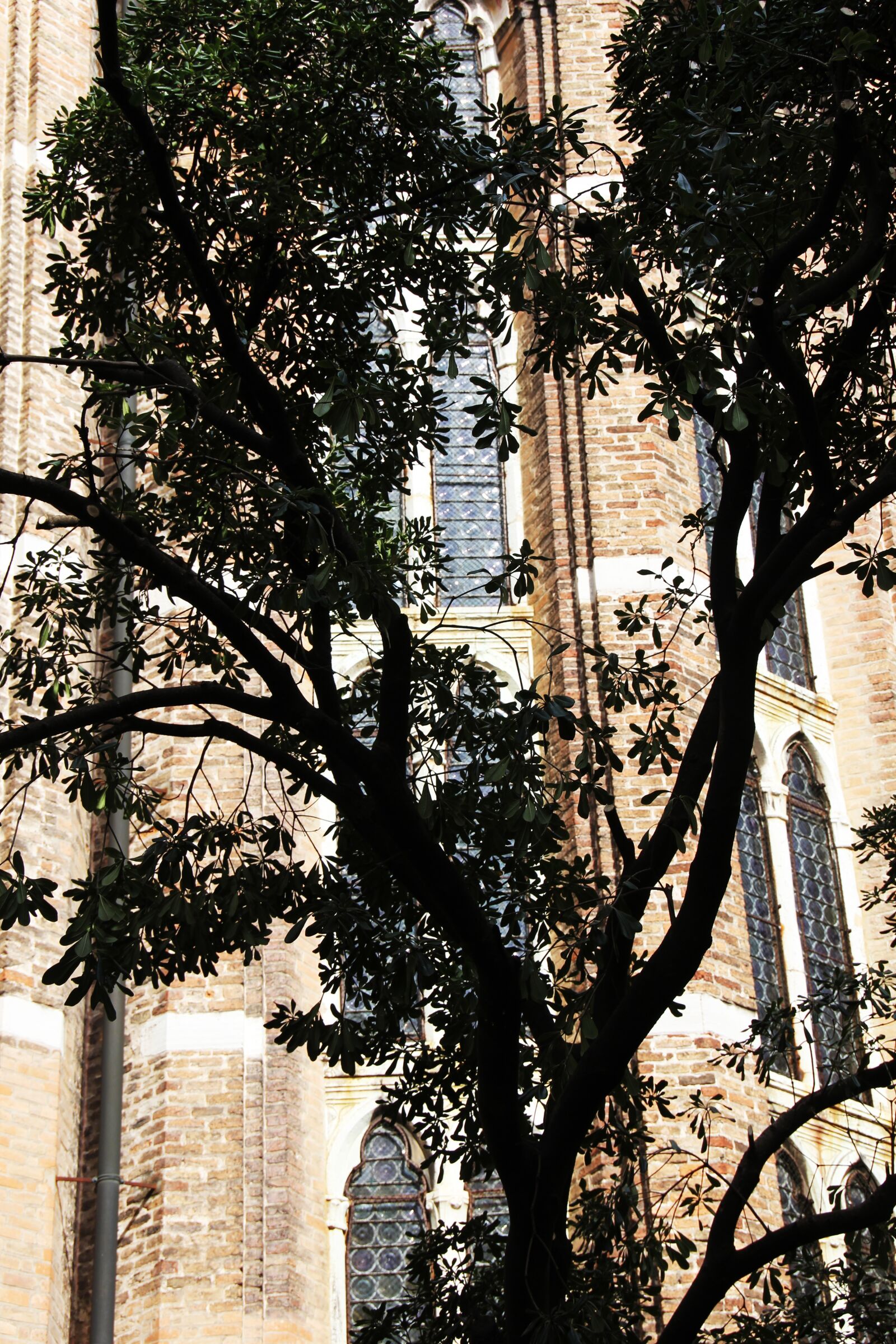Canon EOS 60D sample photo. Tree, church, shadow photography