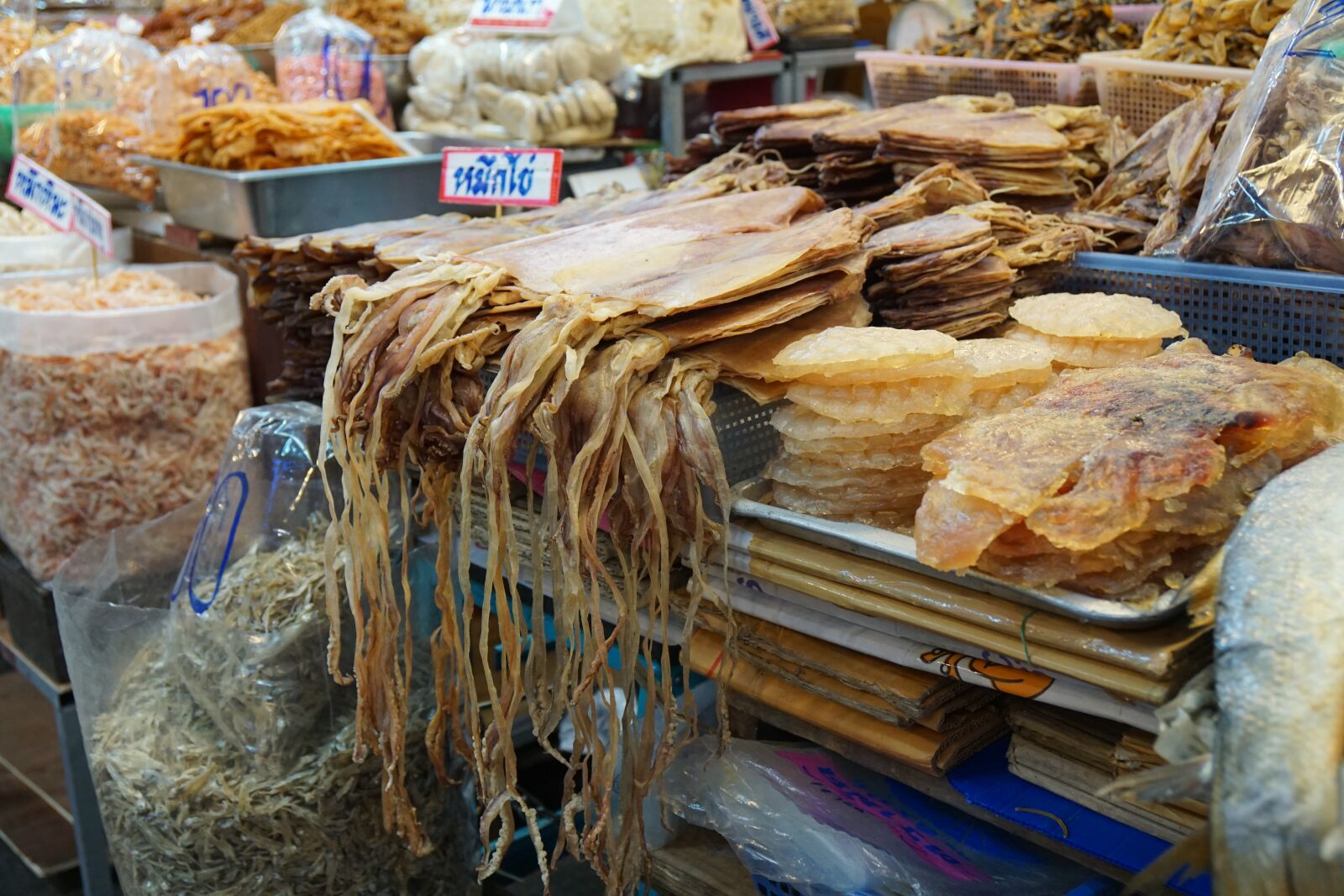 Sony Vario-Tessar T* E 16-70mm F4 ZA OSS sample photo. Thailand, hua hin, fish photography