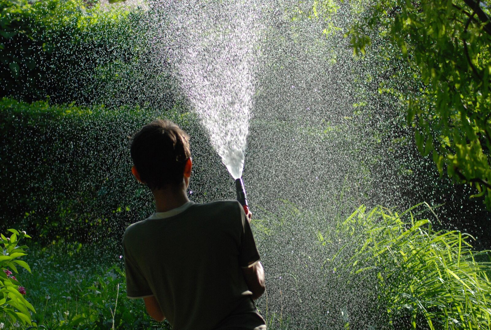 Nikon D80 sample photo. Boy, garden, water photography