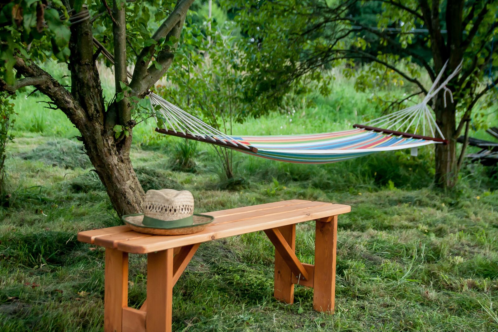 Canon EOS 40D sample photo. Bench, hat, scene photography