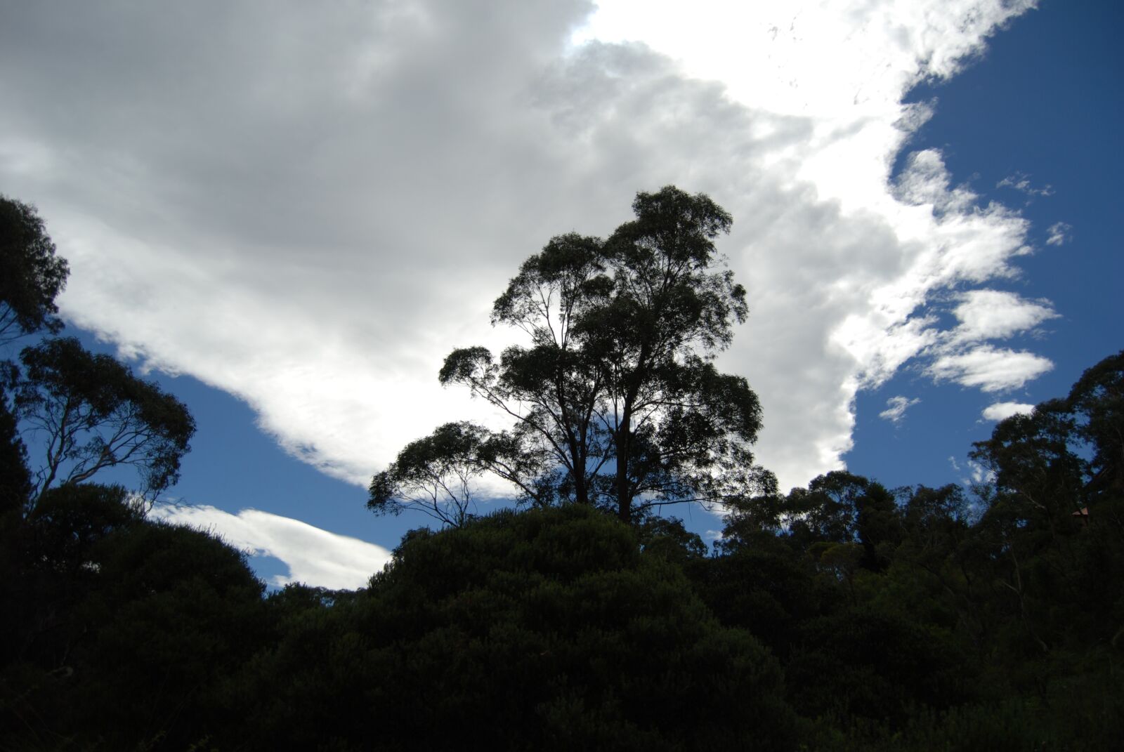 Nikon D80 sample photo. Australia, blue mountains, sky photography