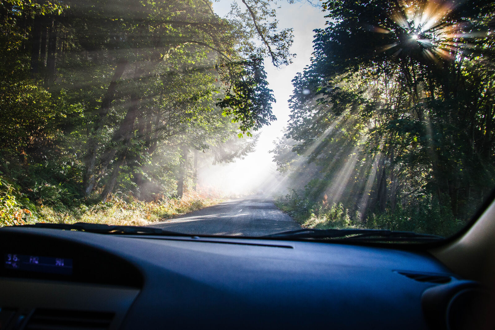 Nikon D610 sample photo. Fog photography