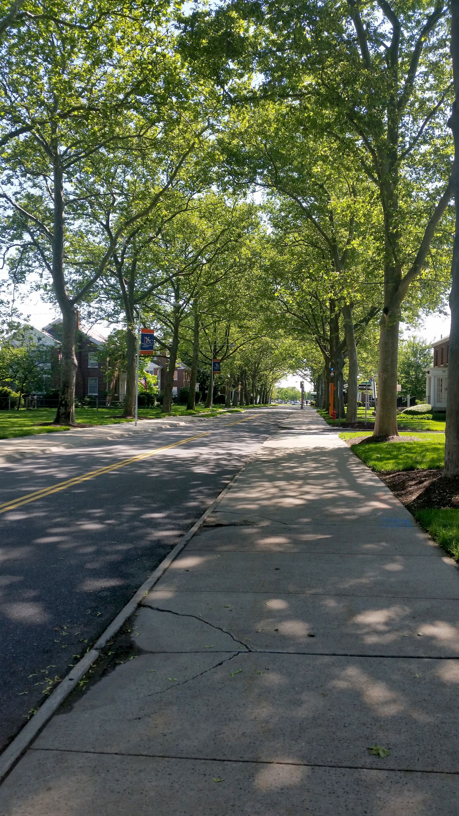 Samsung Galaxy S5 sample photo. Tree-lined street, sidewalk, road photography
