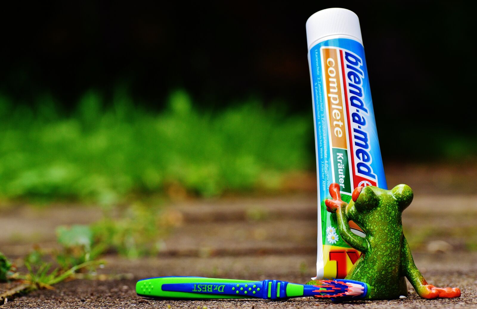 Nikon D3200 sample photo. Toothpaste, frog, toothbrush photography