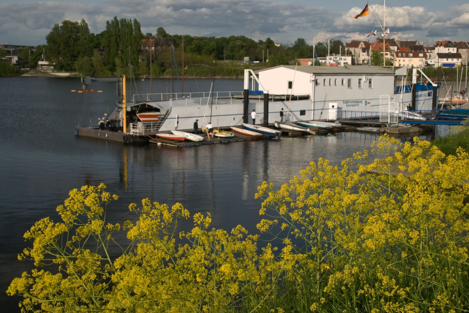 Canon EF-S 18-55mm F3.5-5.6 II sample photo. Old rhine, rhine, mannheim photography