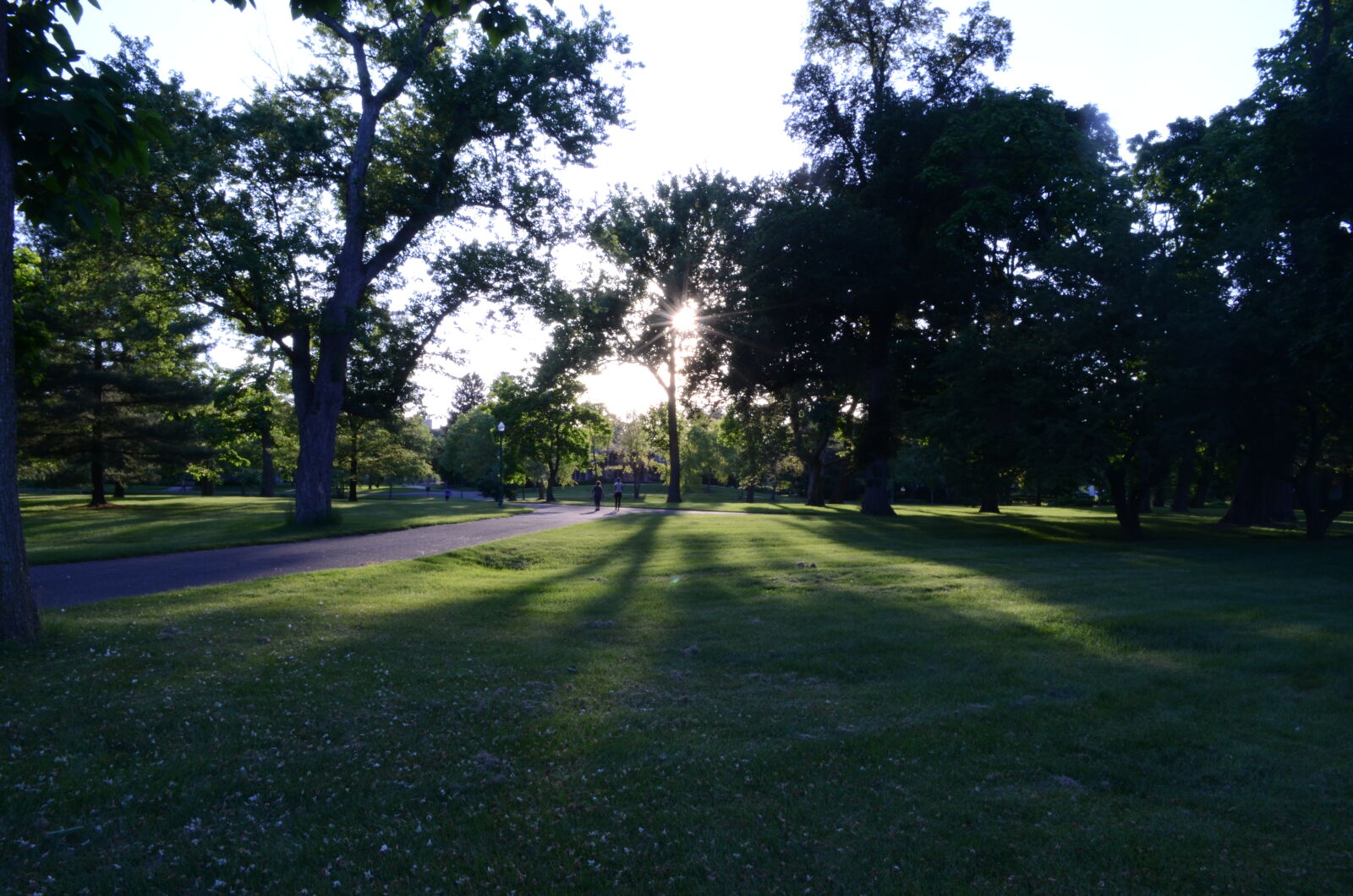 Nikon D5100 sample photo. Blue, sky, central, park photography