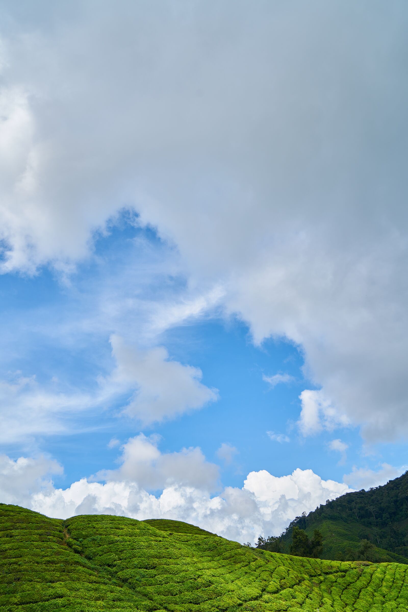 Sony a7R II sample photo. Mountain, nature, taylor photography