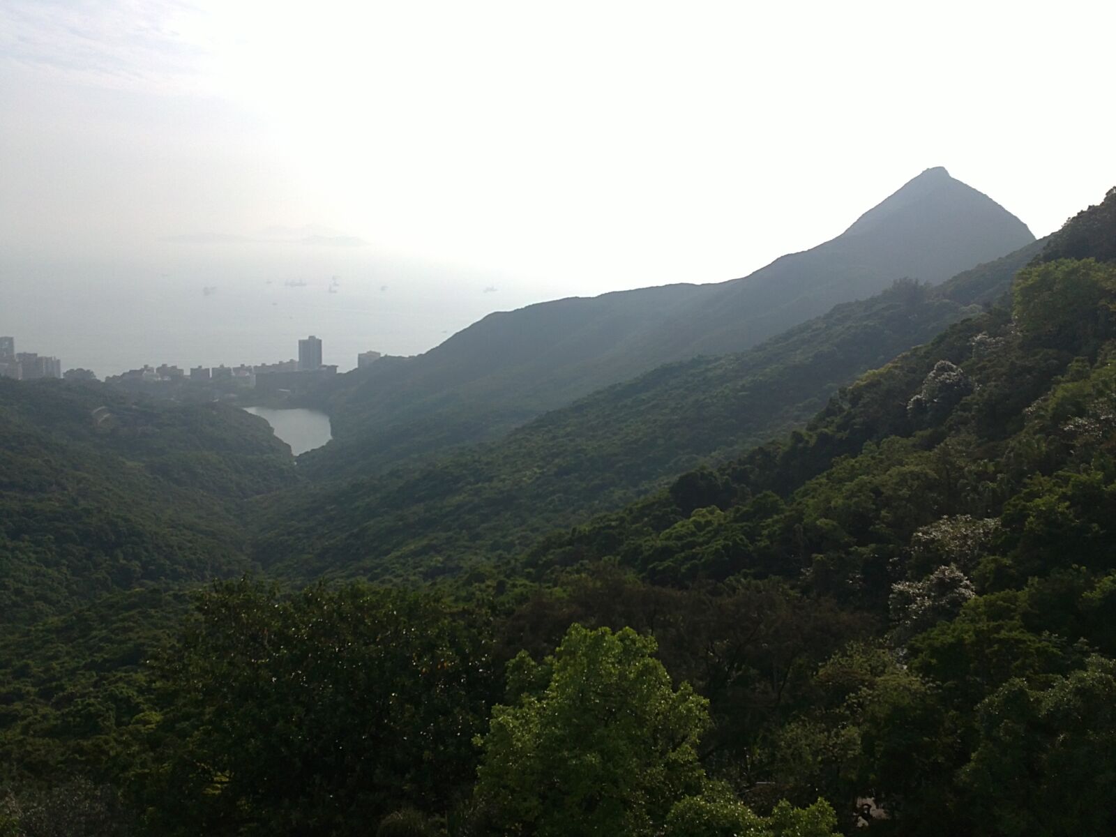 Sony Ericsson U5i sample photo. Forest, hong kong, nature photography