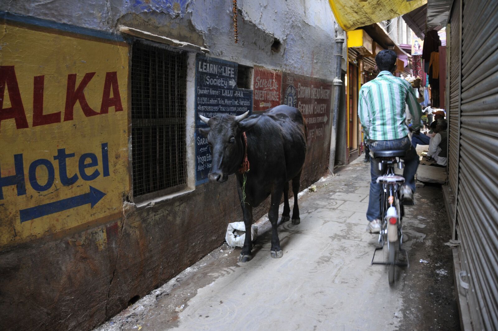 Nikon D300S sample photo. Varanasi, narrow lane, india photography