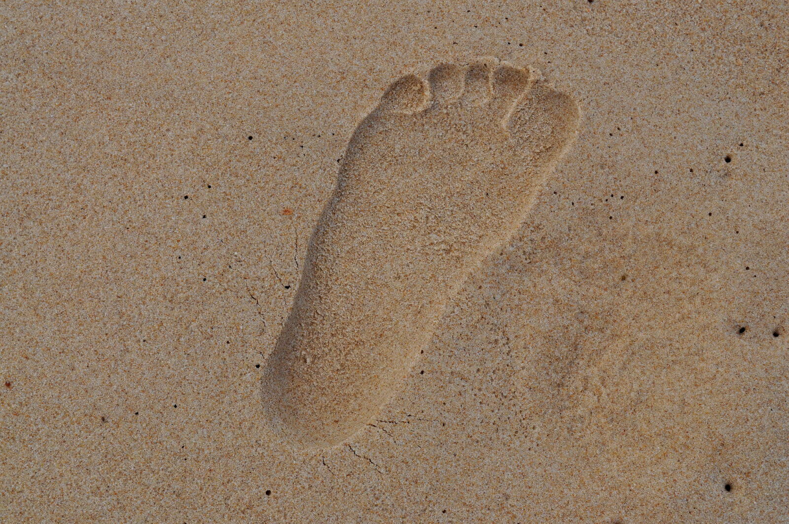 Nikon D5000 sample photo. Footprint, sand photography