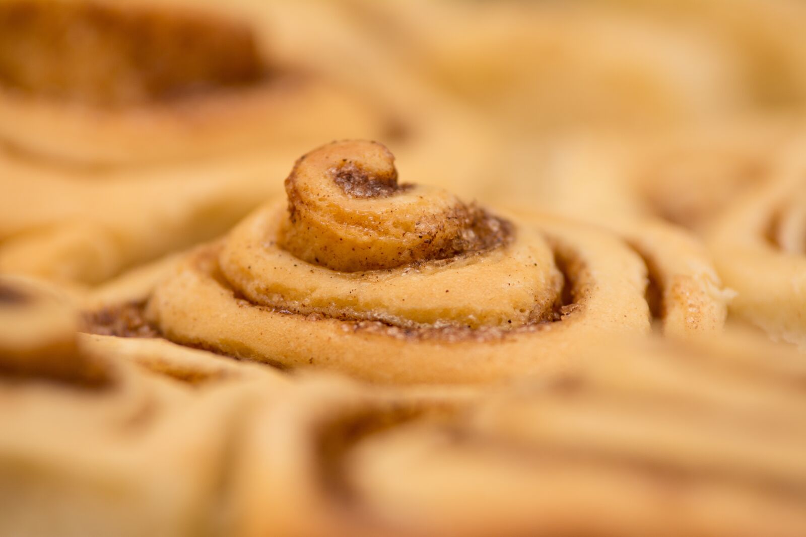 Nikon D7100 sample photo. Cocoa, cake, fresh photography