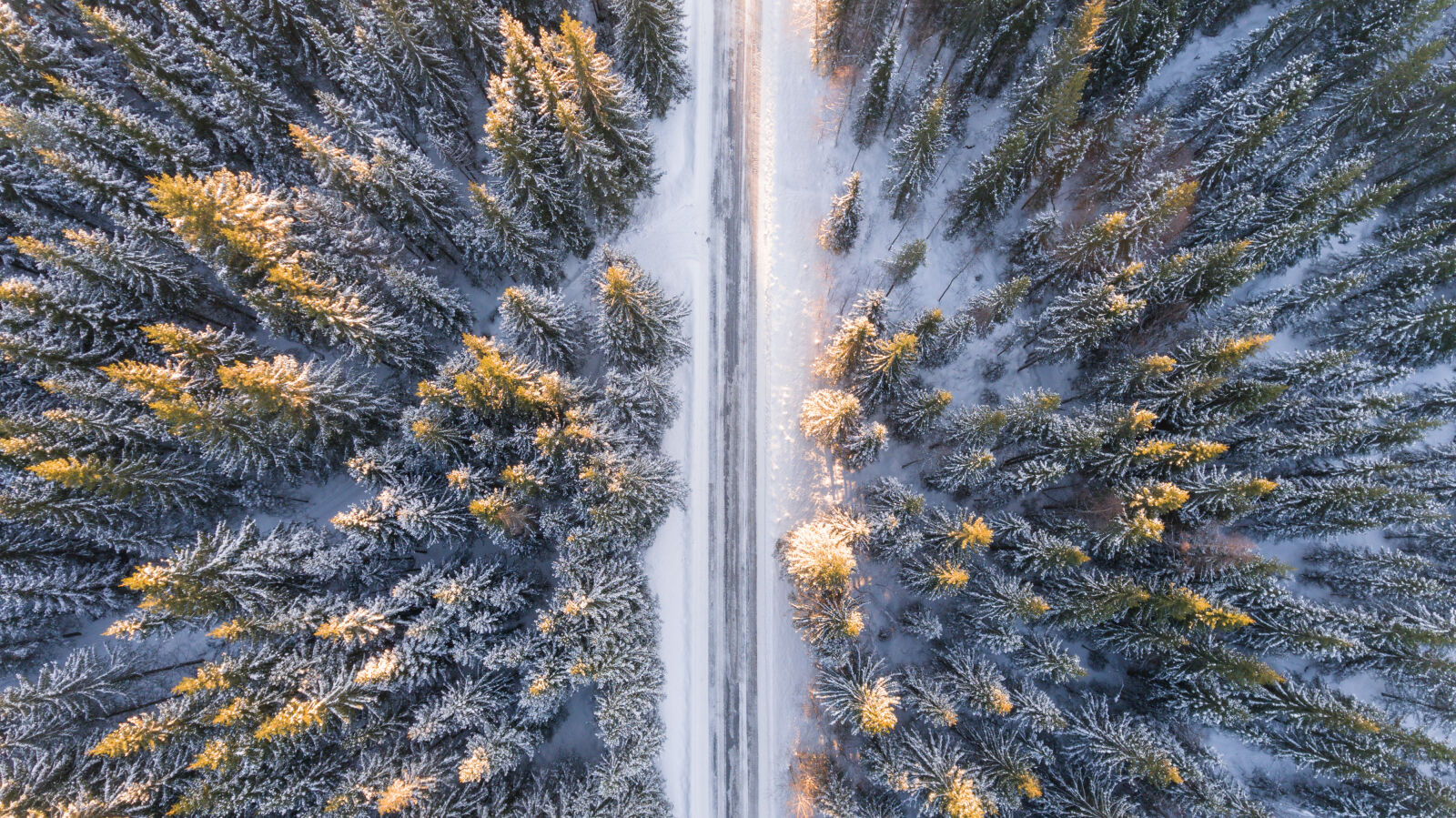 DJI FC330 sample photo. Adventure, aerial, beautiful, bird photography
