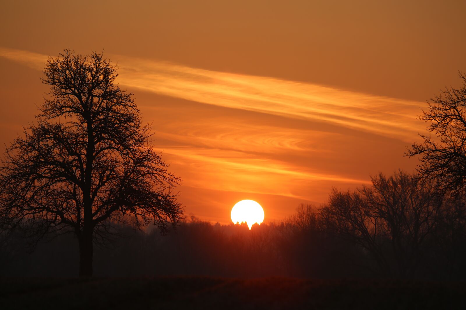 Canon EF 100-400mm F4.5-5.6L IS USM sample photo. Evening, sunset, sun photography