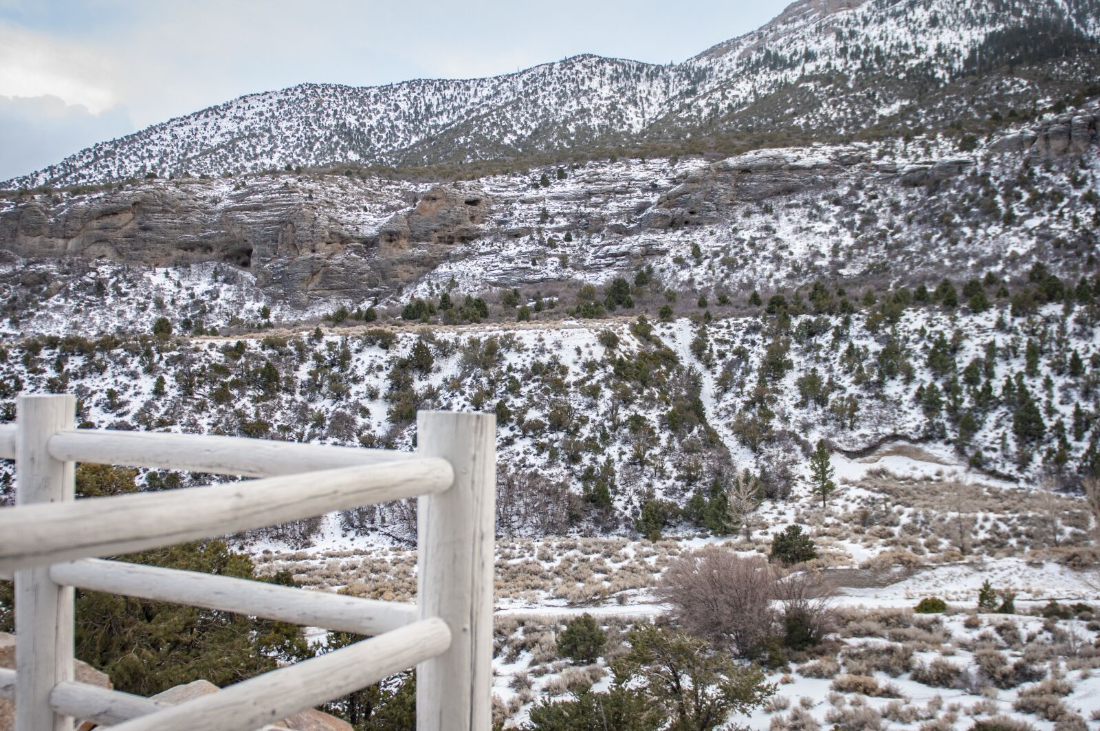 Nikon D300S sample photo. Winter, christmas, vegas photography
