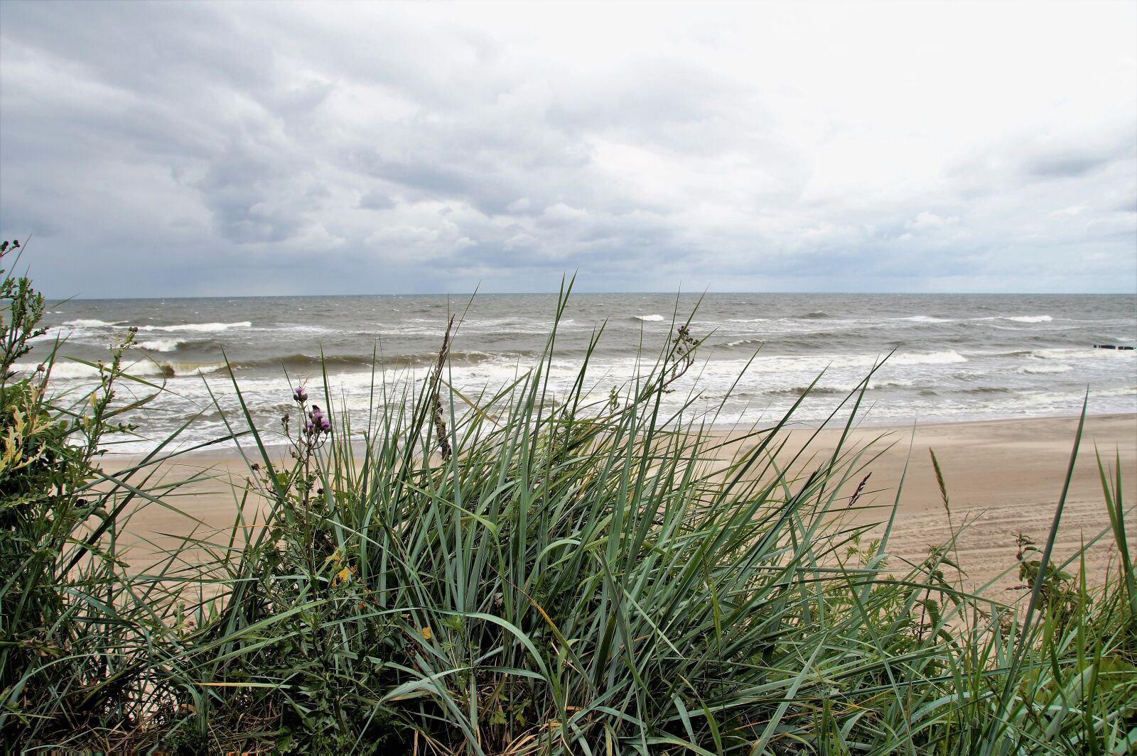 Sony SLT-A58 sample photo. Sea, coast, dune photography
