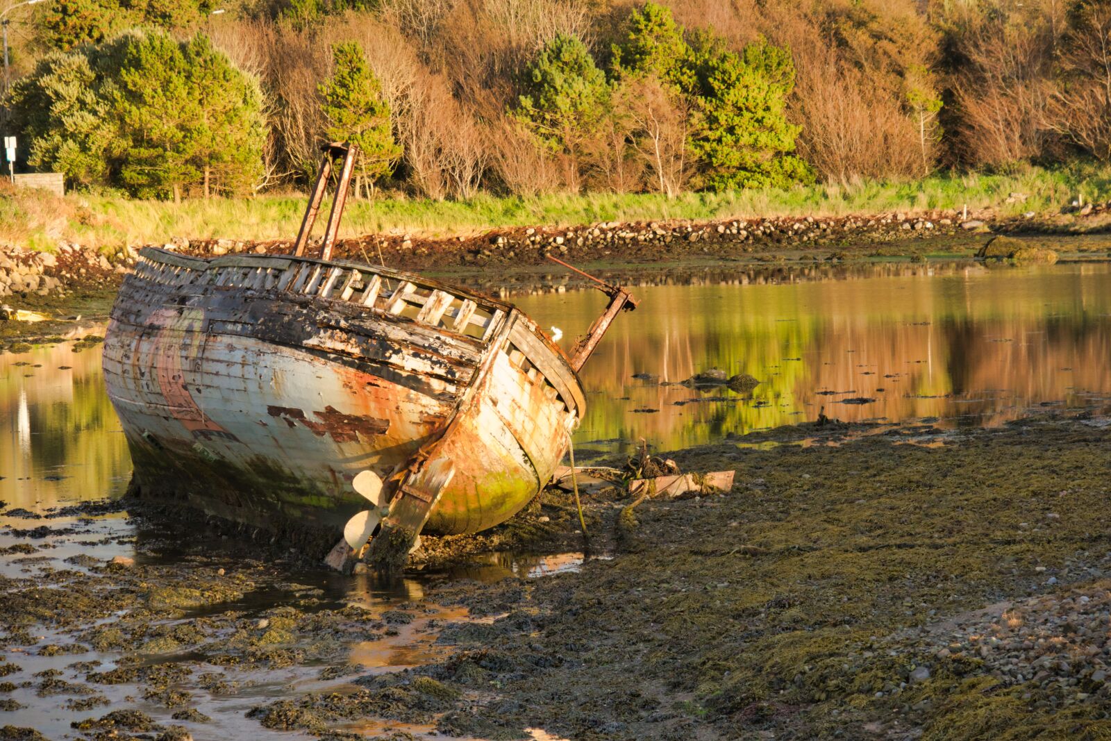 Canon PowerShot G3 X sample photo. Ship wreck, wreck, ireland photography