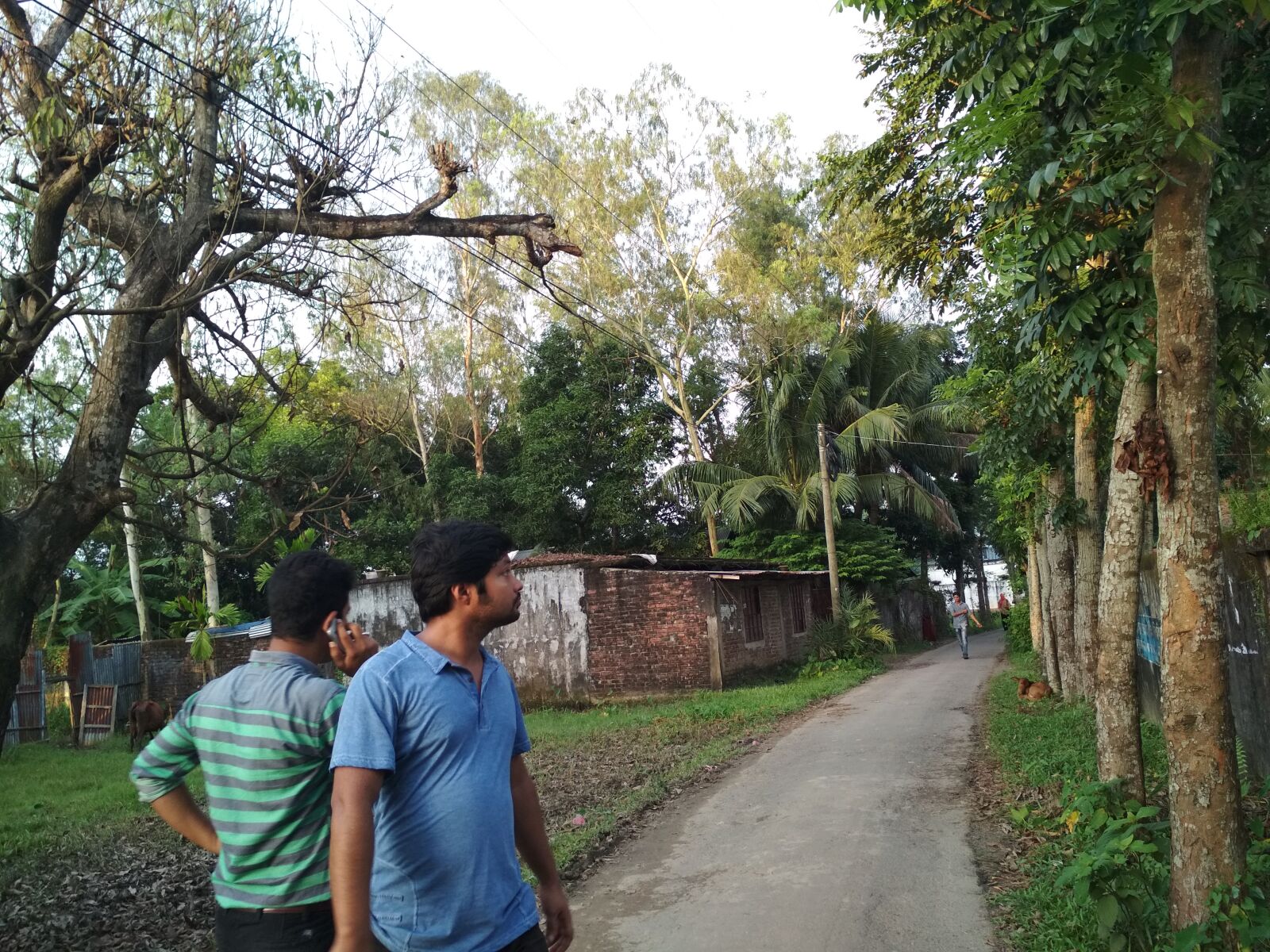 Xiaomi Redmi 4X sample photo