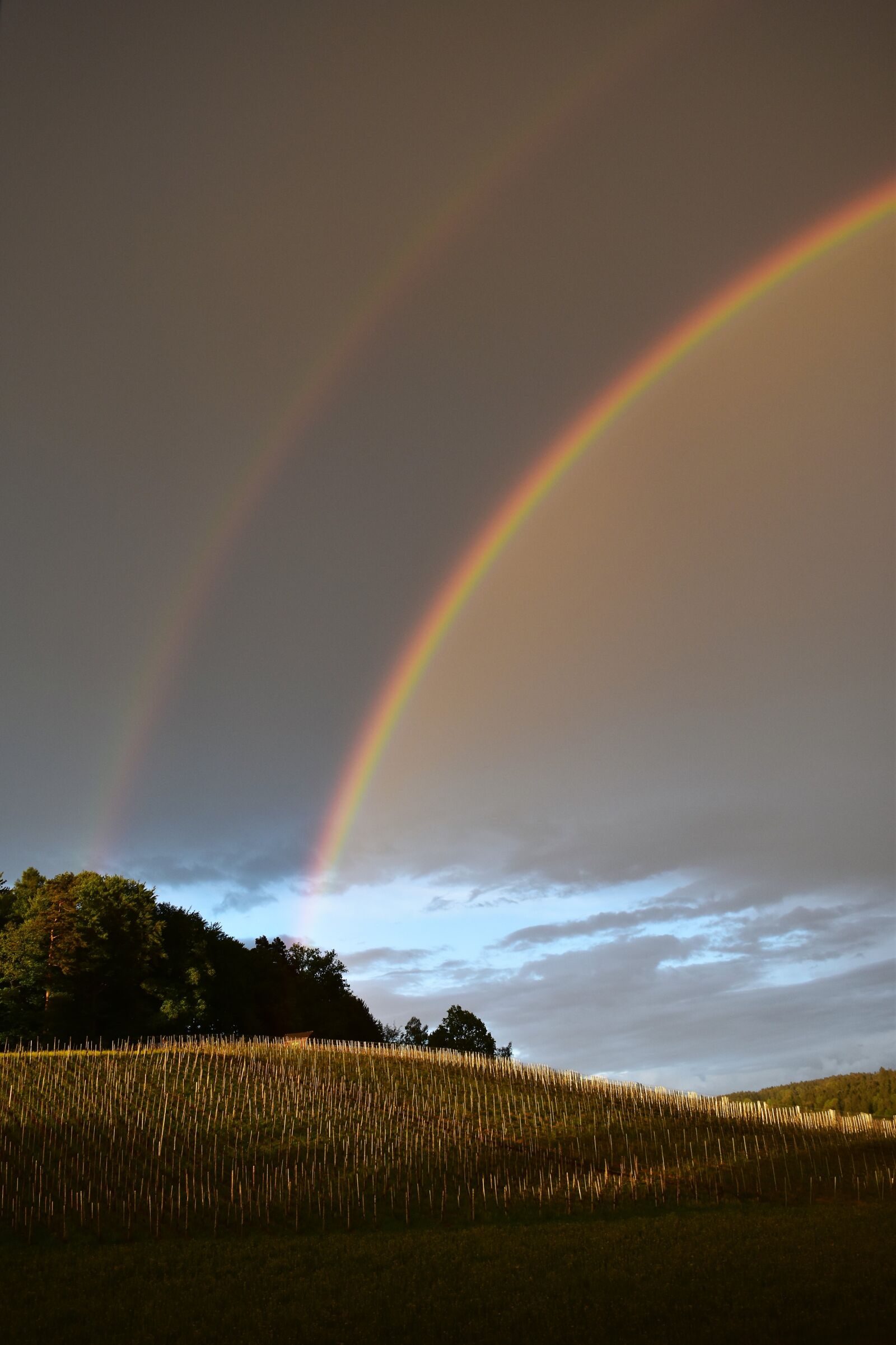 Nikon D5500 sample photo. Rainbow, nature, spectacle photography