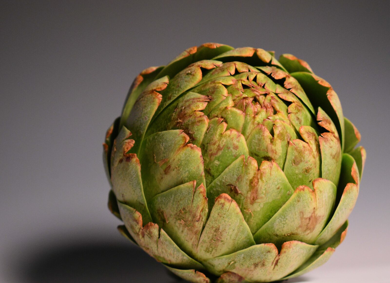 Nikon D3400 sample photo. Artichoke, green, vegetable photography