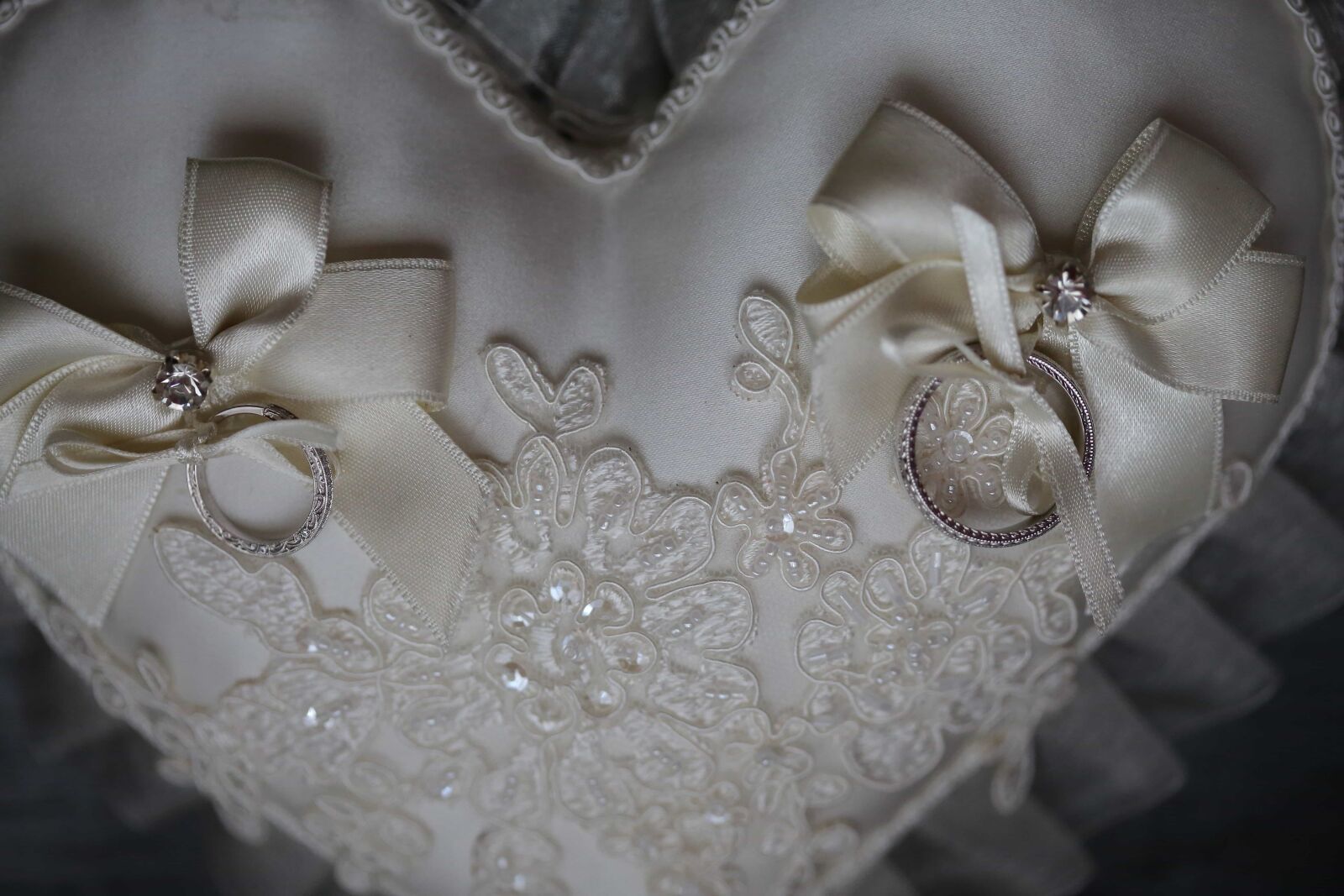 Canon EF 100mm F2.8 Macro USM sample photo. Heart, object, shape, silk photography