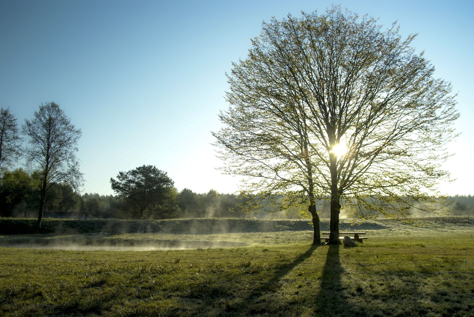 Sony Alpha DSLR-A200 sample photo. Early spring, poetry, morning photography