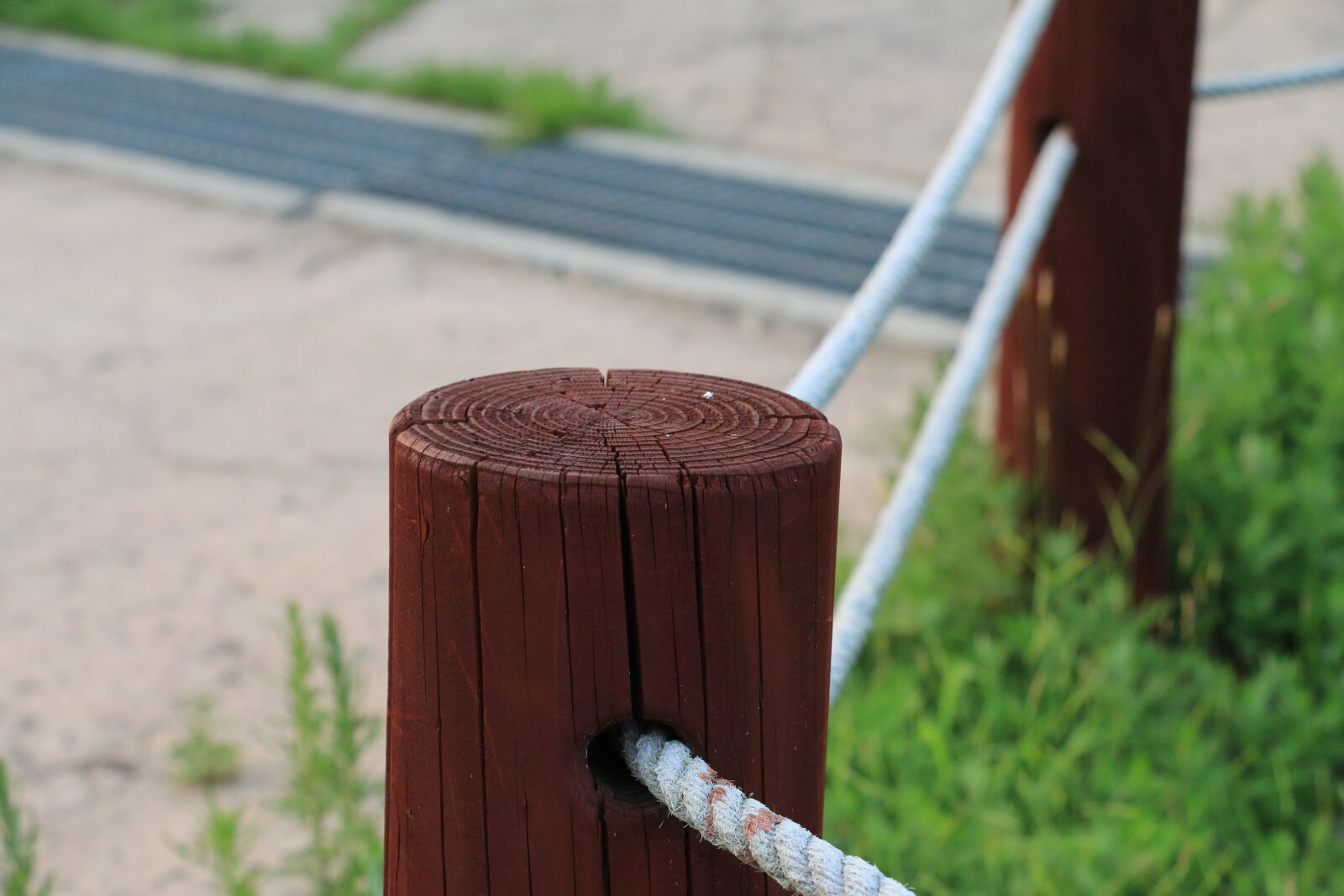 Canon EOS 70D sample photo. Wood, timber, line photography