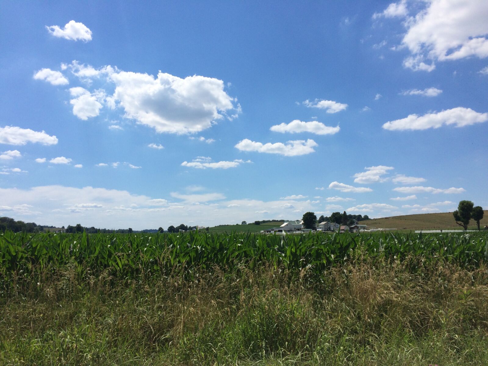 iPhone 5s back camera 4.15mm f/2.2 sample photo. Clouds, rural, sky photography