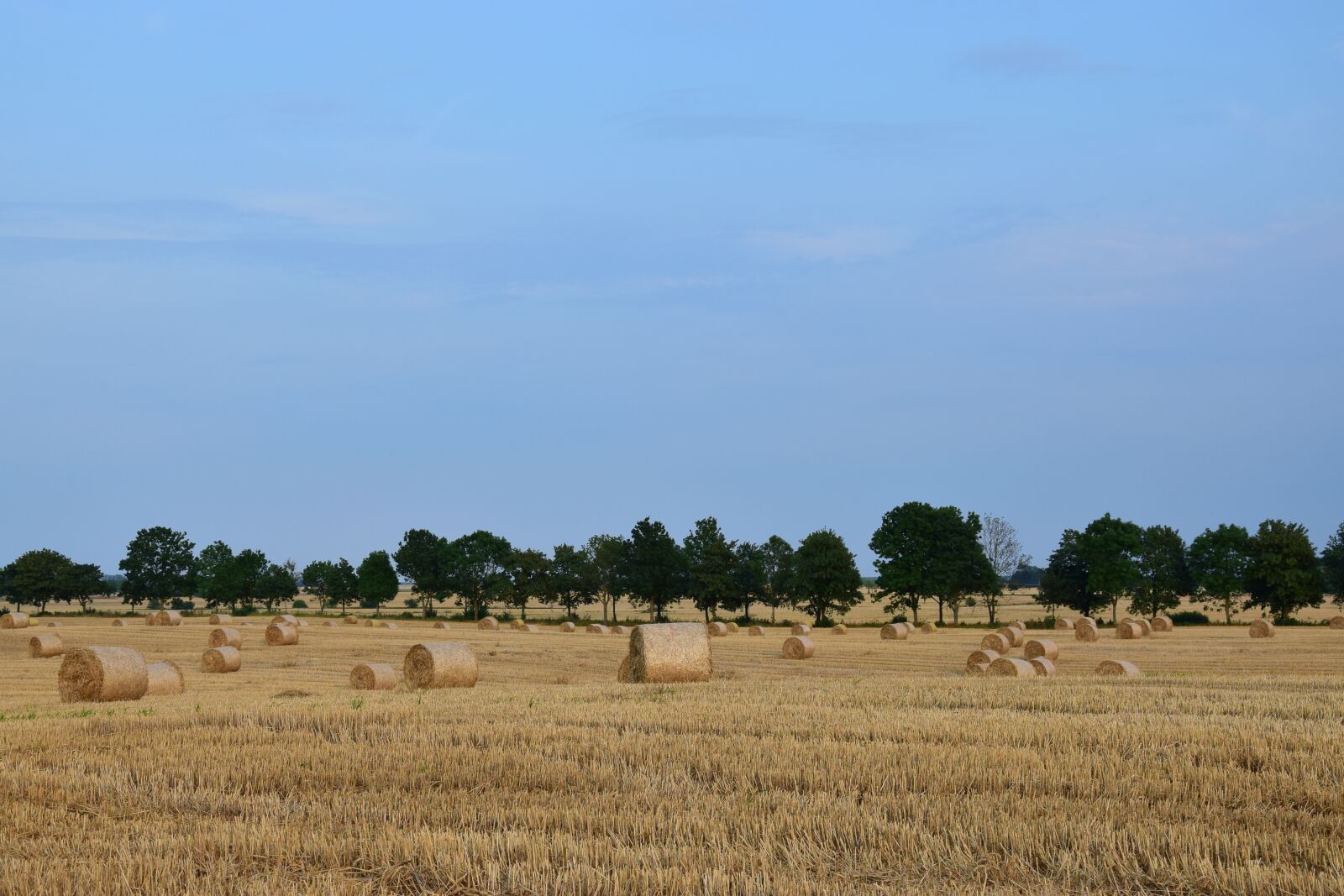Nikon D3300 sample photo. Agriculture, bales, countryside, farm photography
