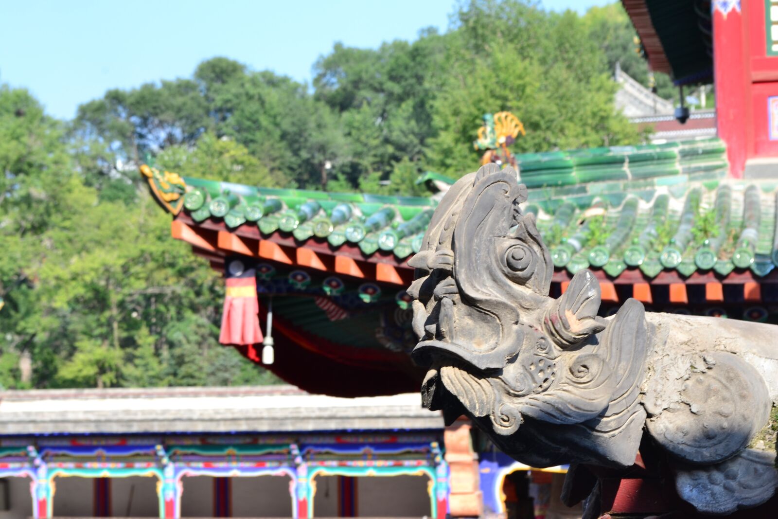Nikon D3100 sample photo. Qinghai, xining, kumbum monastery photography