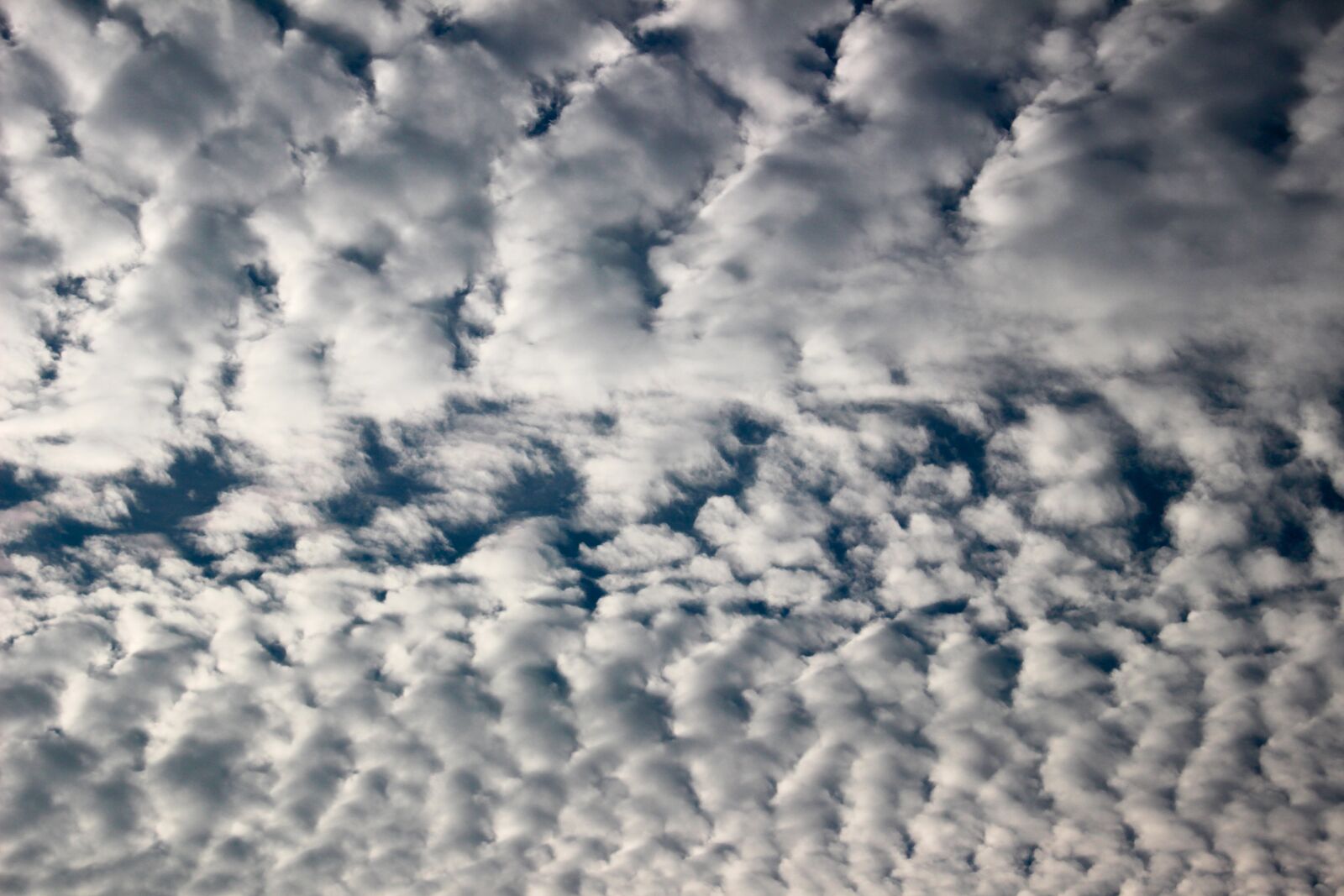 Canon EOS 100D (EOS Rebel SL1 / EOS Kiss X7) sample photo. Sky, cloud, nature photography