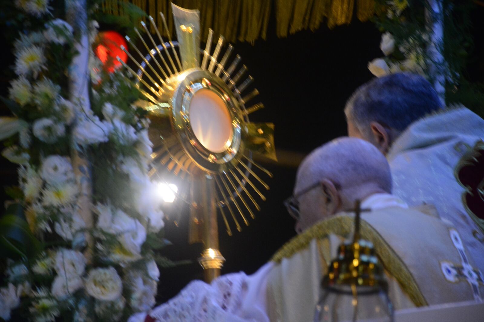 Nikon D5200 sample photo. Christ, monstrance, bishop photography