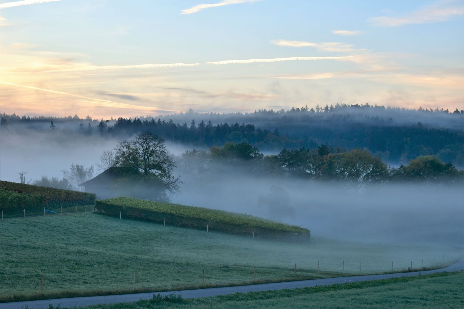 Nikon D5500 sample photo. Landscape, fog, morning photography