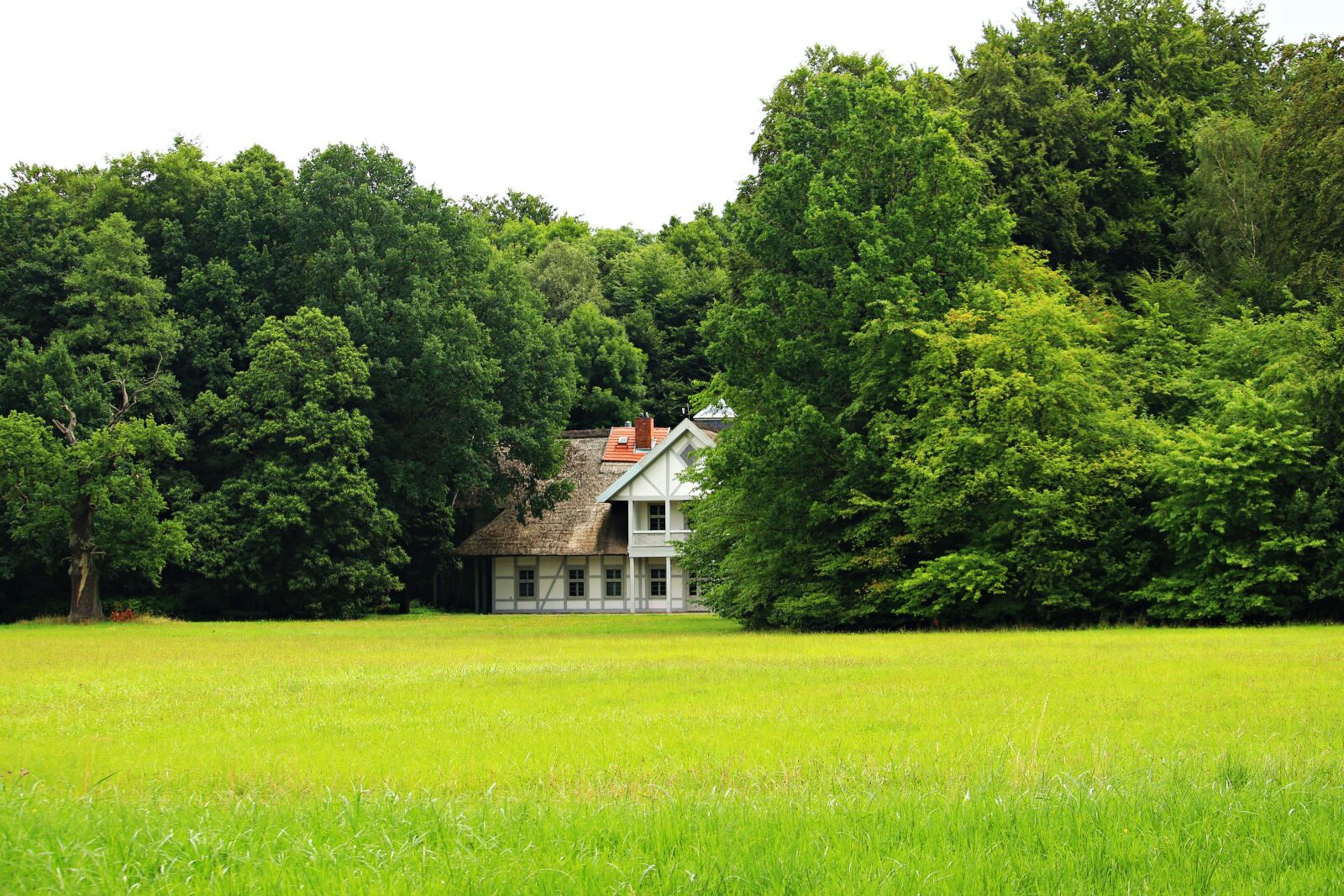 Canon EOS 100D (EOS Rebel SL1 / EOS Kiss X7) sample photo. House, swiss house, truss photography