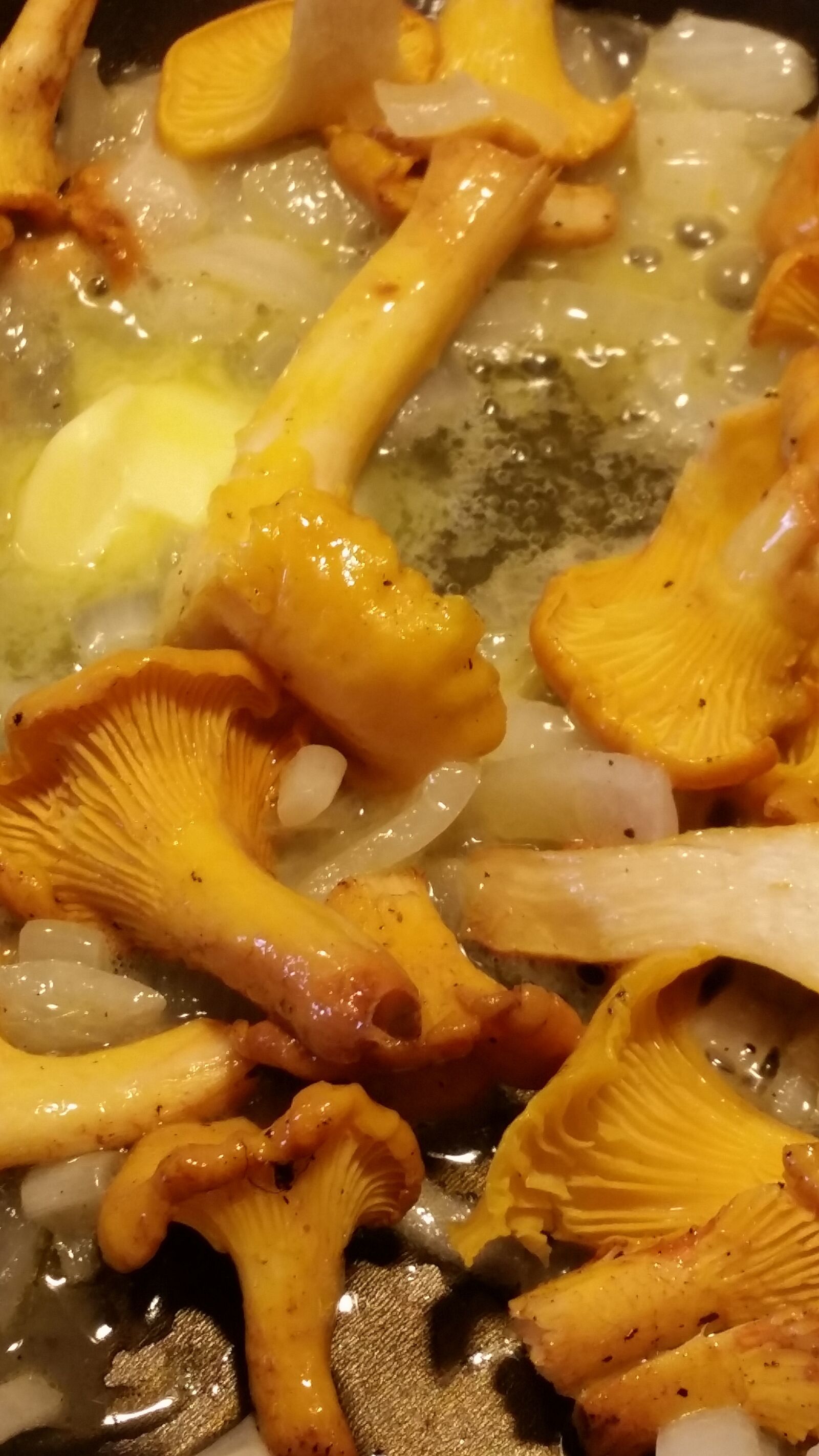 Samsung Galaxy S5 sample photo. Chanterelle mushrooms, autumn mushrooms photography