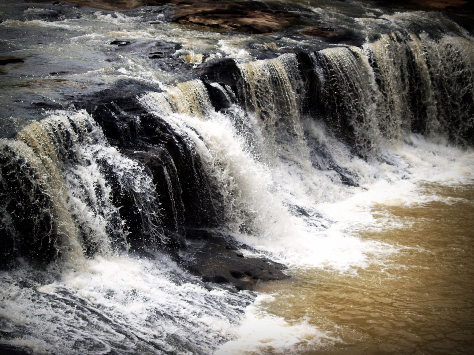 Olympus E-300 (EVOLT E-300) sample photo. Rain, forest, park photography