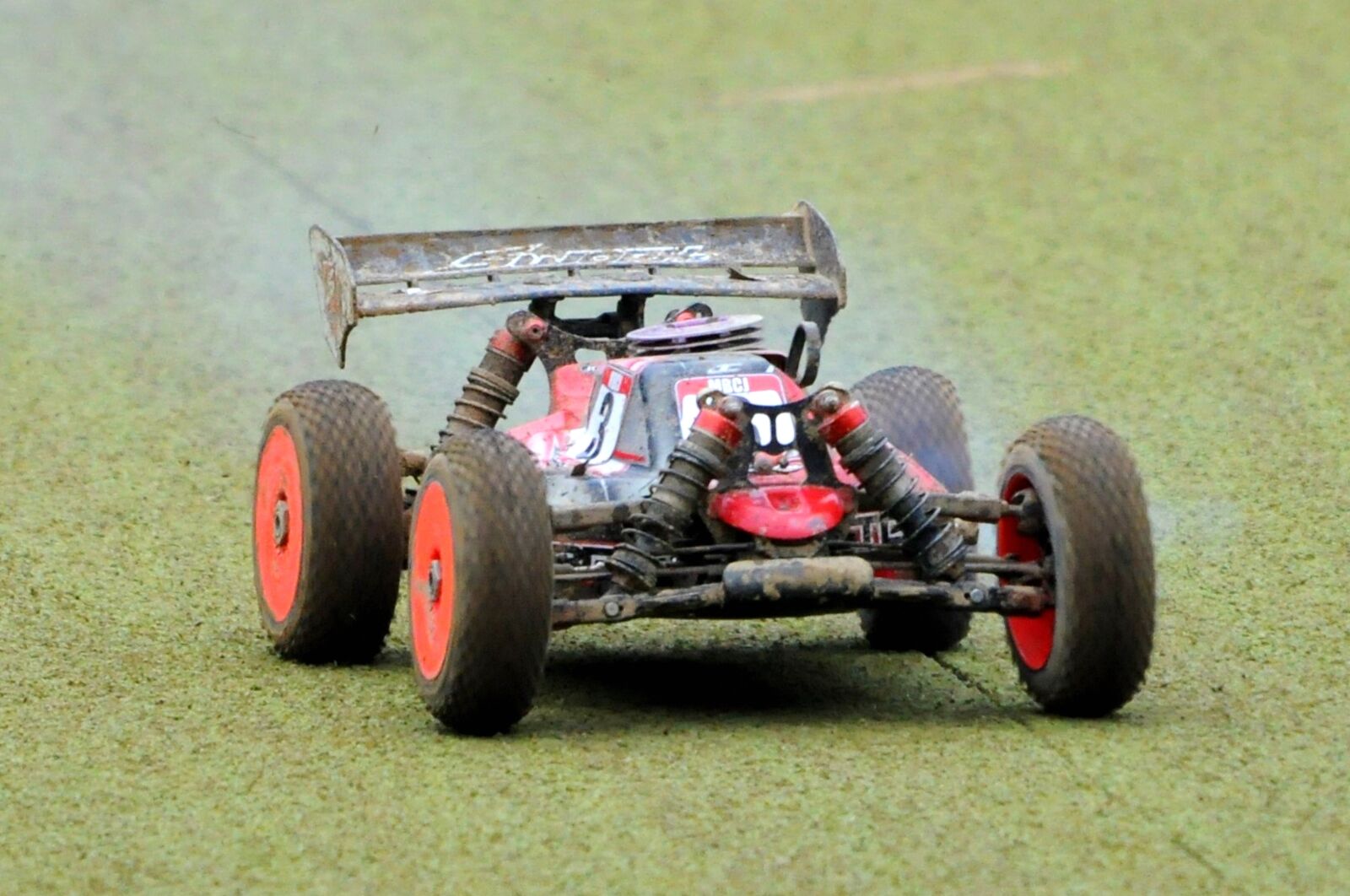 Nikon D5000 sample photo. Rc, 1 8, buggy photography