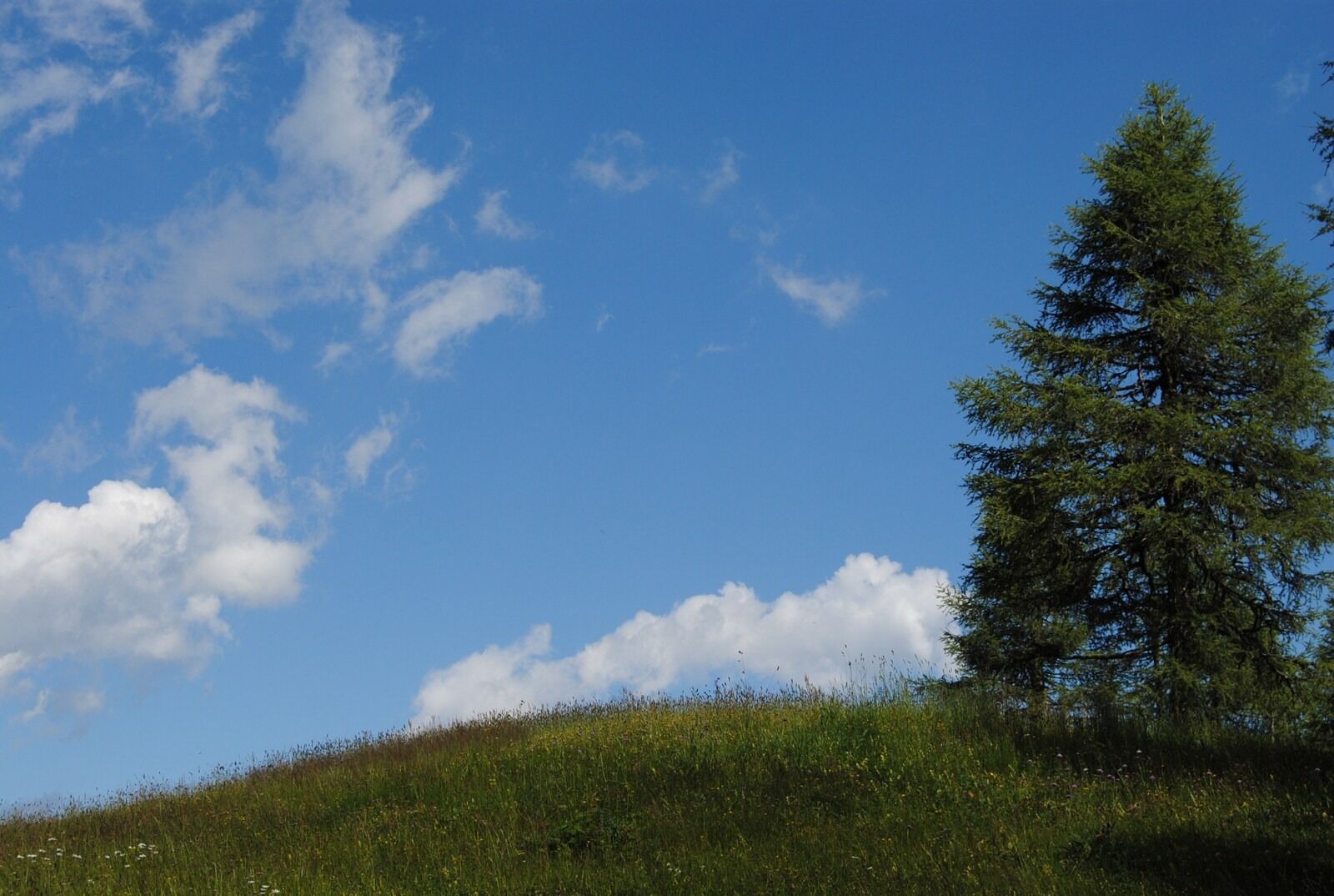 Nikon D3000 sample photo. Landscape, light, sky photography